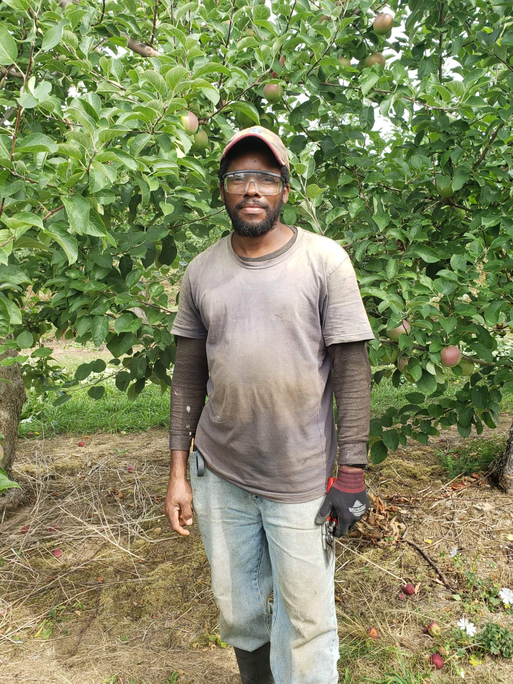 male migrant farm worker posing for camera in front of apple tree