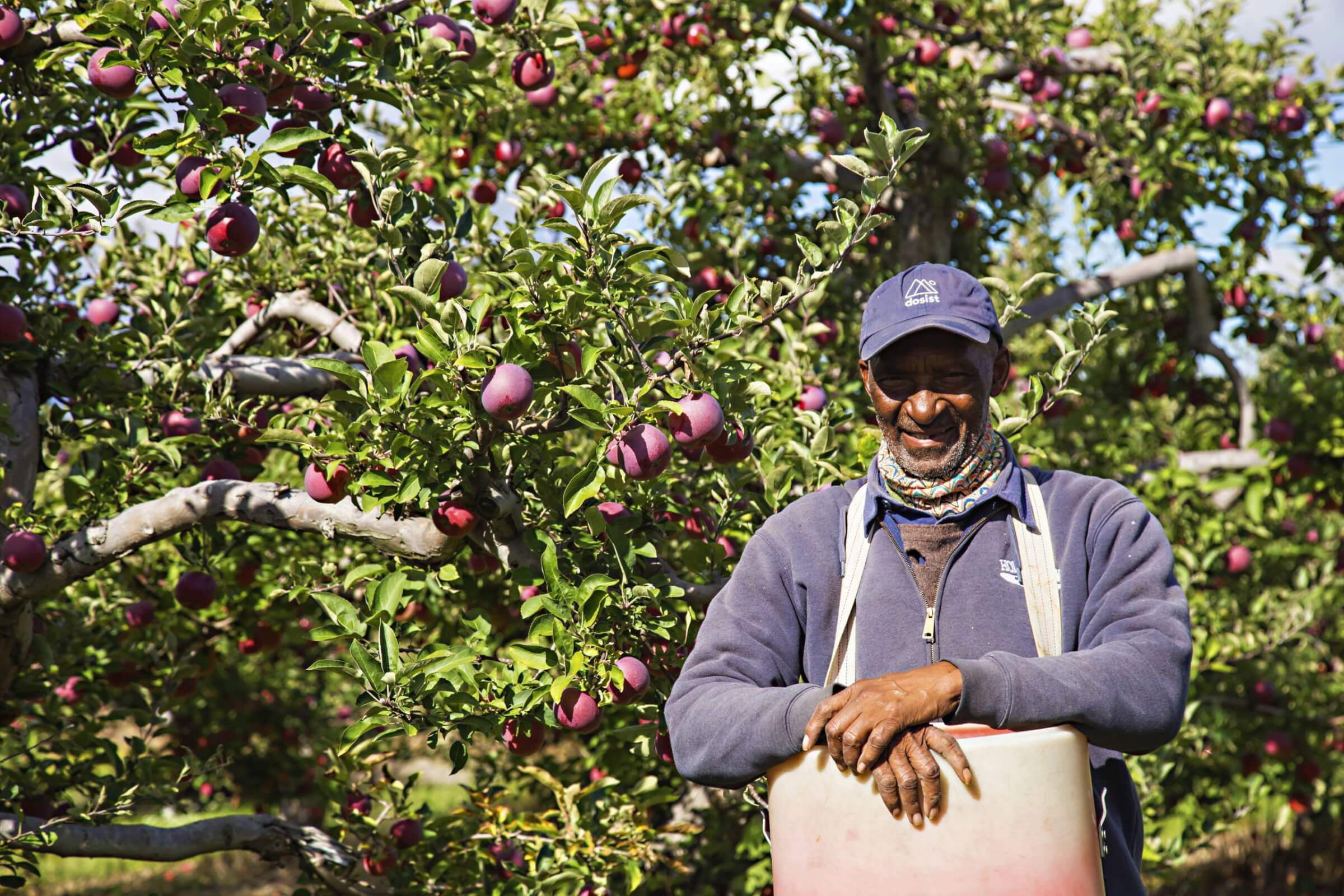 male migrant worker posing for camera in front of apple tree