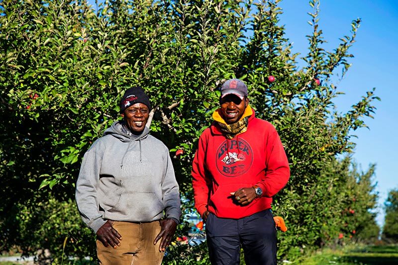 two migrant workers pose for camera in front of apple tree