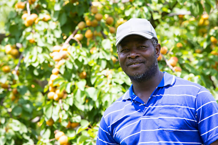 male migrant worker standing in orchard, smiling at camera