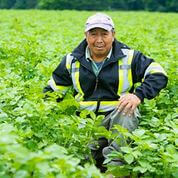 male migrant worker crouches in field of crops, while smiling for camera