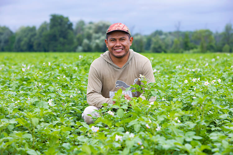 migrant worker crouching in a farm field, smiling for the camera