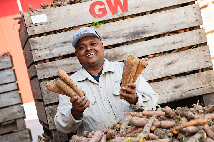 male migrant worker smiling for the camera while holding carrots