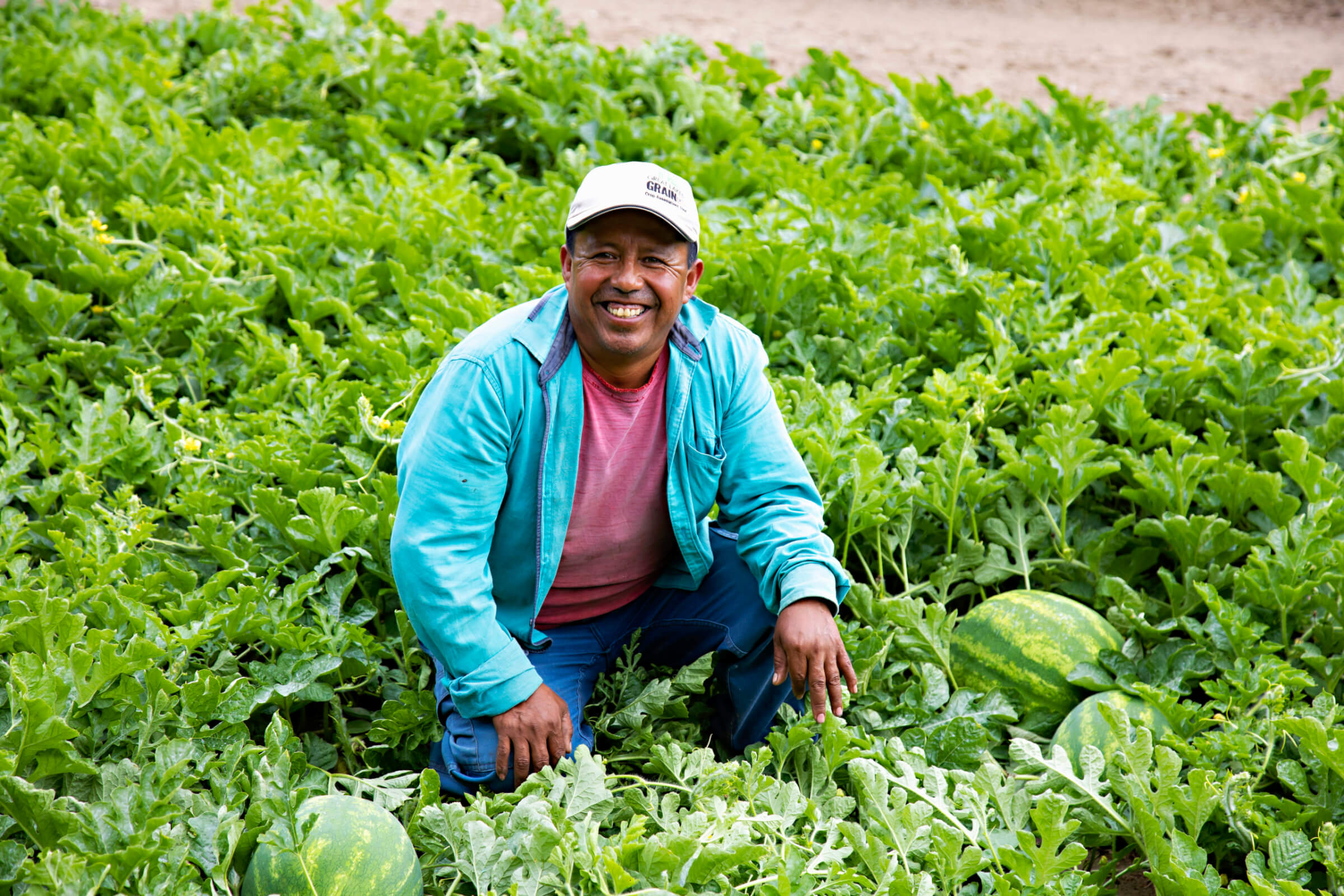 male migrant worker kneels in watermelon field, while smiling for camera
