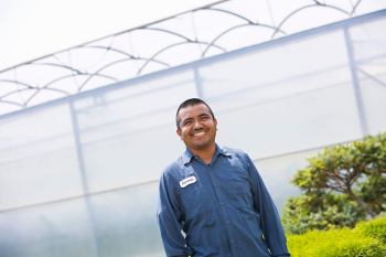 Migrant worker in a vegetable greenhouse
