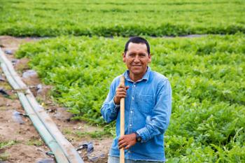 male migrant worker poses for camera while standing in farm field