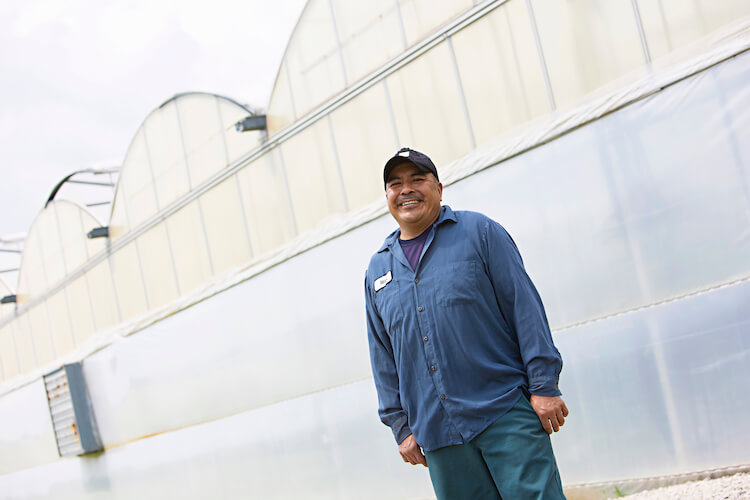 Migrant worker smiles at camera, standing in front of greenhouse