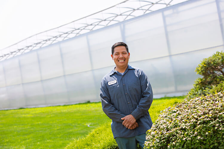 Ontario migrant farm worker inside a greenhouse