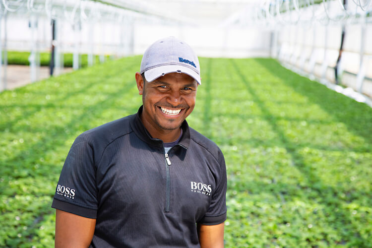 Migrant farm worker looking at the camera in a greenhouse