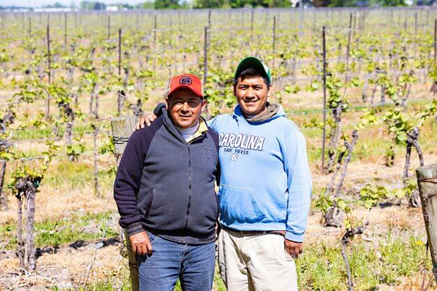 father and son migrant workers pose for camera in grape orchard
