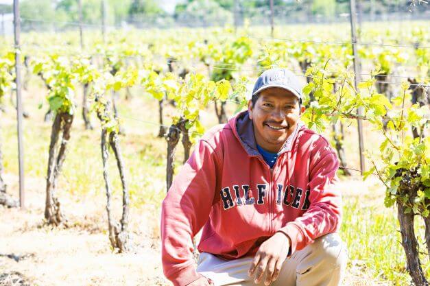 male migrant worker poses in front of grape orchards