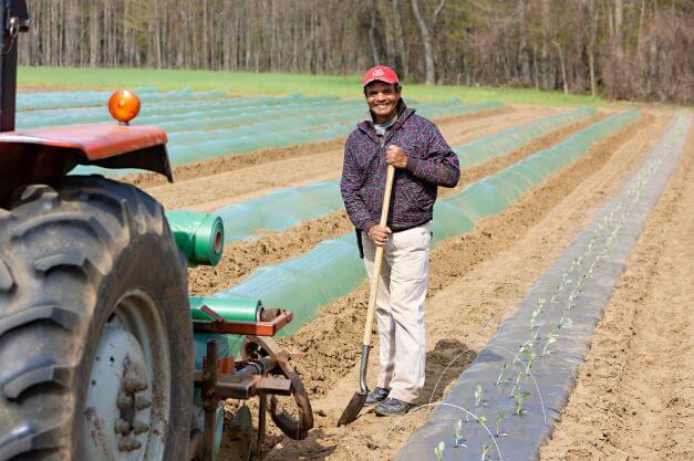 male migrant worker standing for camera in farm field