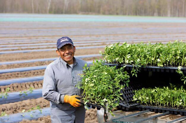 migrant worker in the farm field smiling for camera