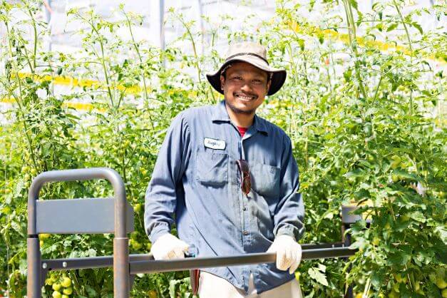 male migrant worker posing in greenhouse