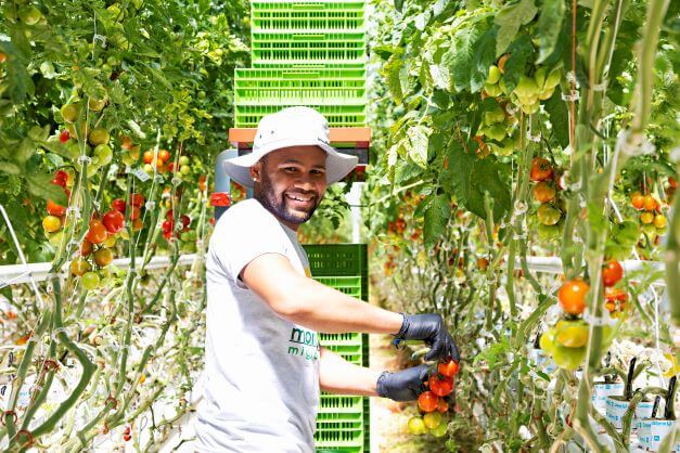 migrant worker smiling in greenhouse