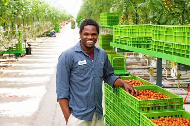 migrant worker smiling in greenhouse