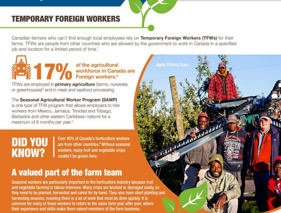 Temporary Foreign Workers (Agriculture in the Classroom Canada)