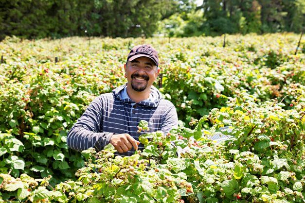 male agricultural worker standing in farm field