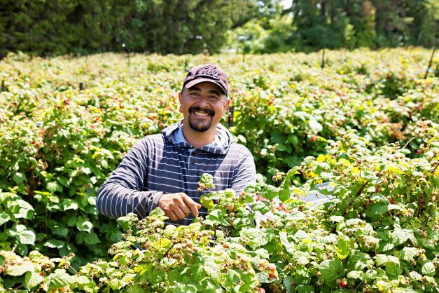 Meet Luis, Seasonal Agricultural Worker from Mexico