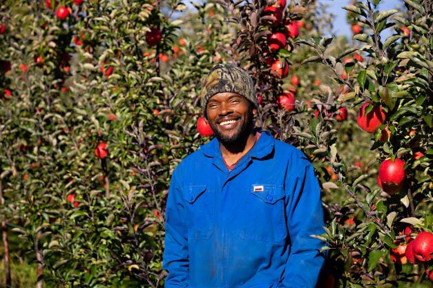 male employee smiling for camera in apple orchard