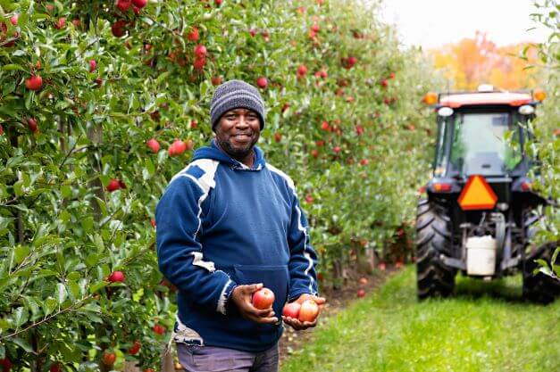 farm employee smiles for camera while holding apples