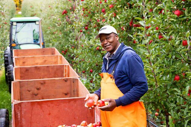 male farm employee smiling for camera