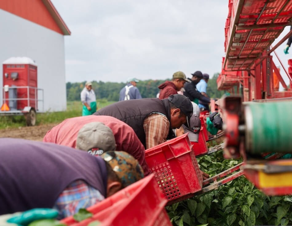 migrant farm workers