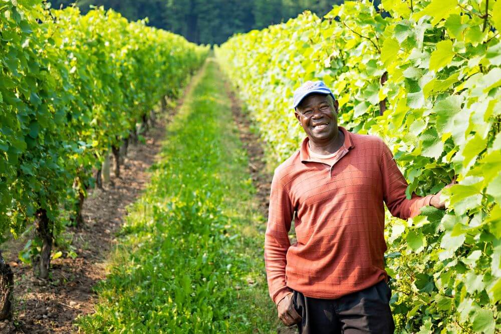Jamaican worker posing for camera