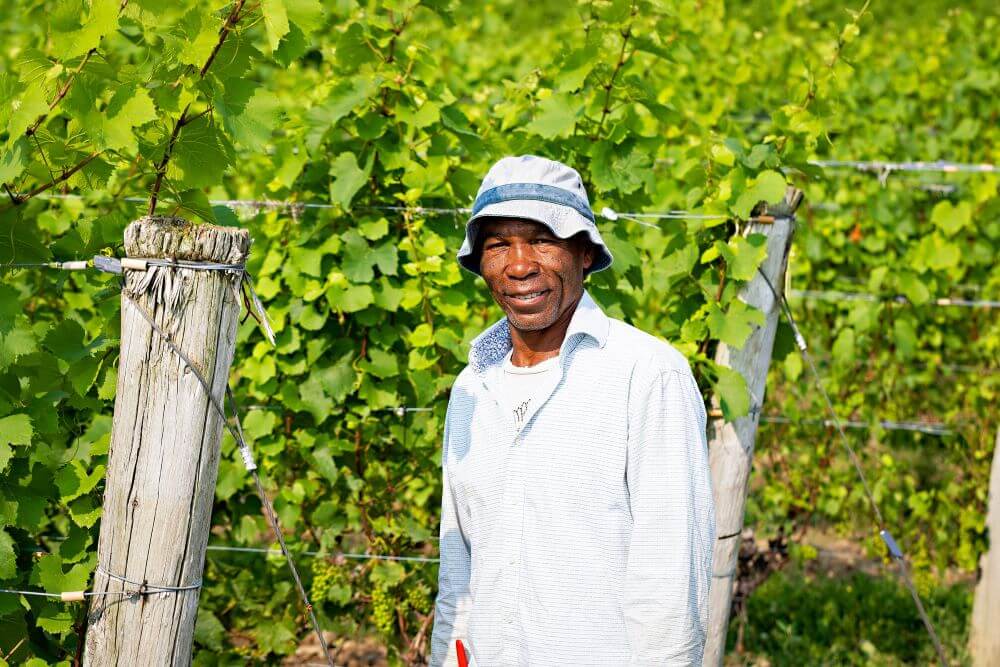 Jamaican worker posing for camera