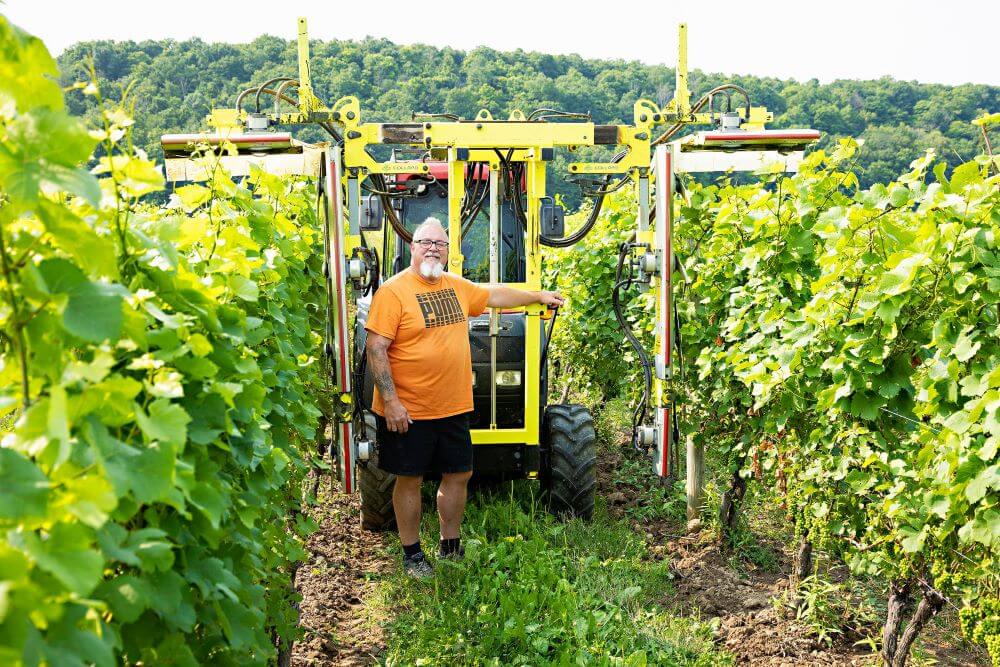 grape grower standing in grape orchard