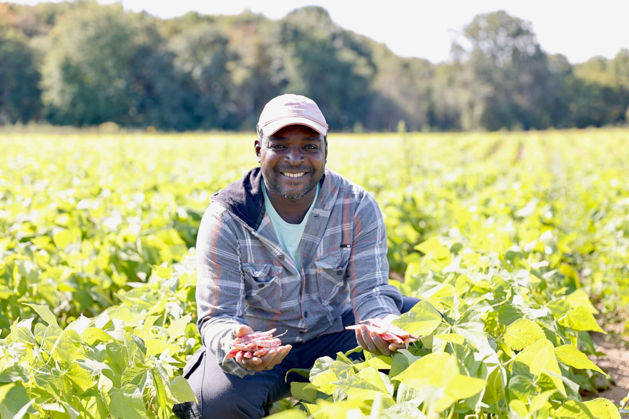 Jamaican worker kneels in farm field