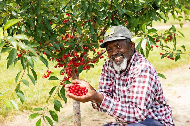 farm worker poses for camera