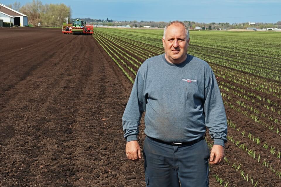 farmer stands in field