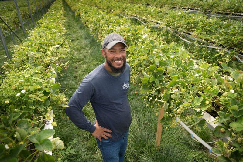 farm worker standing in orchard