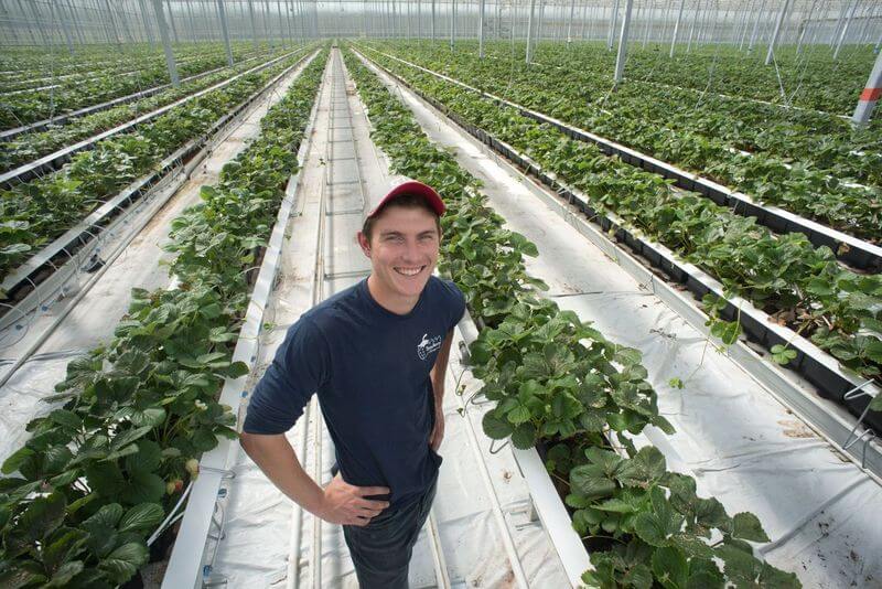male farmer poses in greenhouse